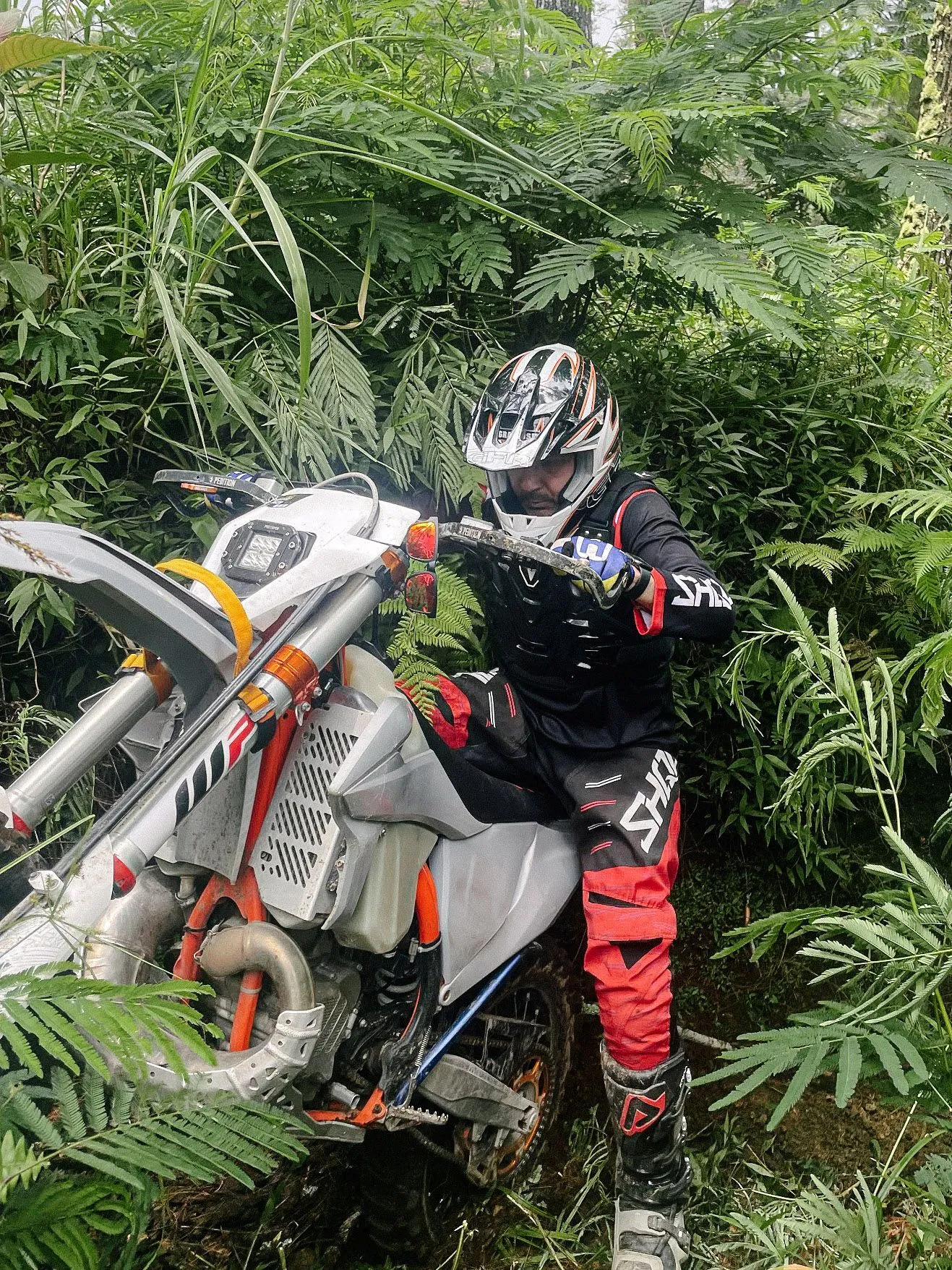 Kintamani Forest, Batur caldera rim · Kintamani (2)