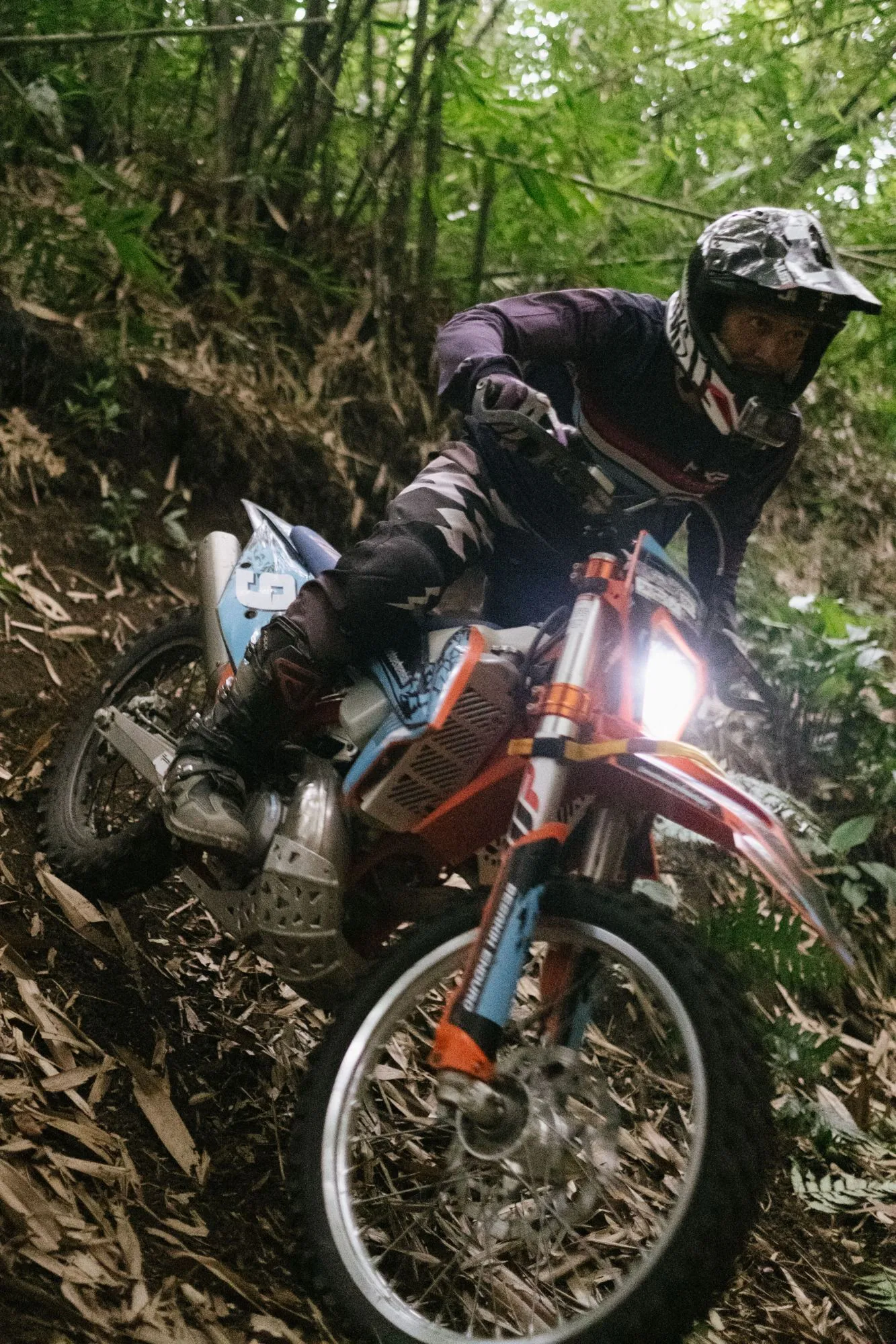 Kintamani Forest, Batur caldera rim · Kintamani (1)